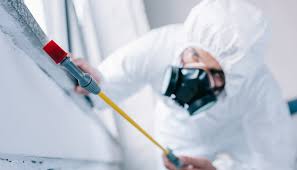 Best Commercial Pest Control  in Al Creek, CO